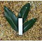 Raw Selenite Wand 10cm