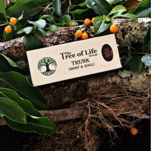 Tibetan Tree of Life Incense- Trunk