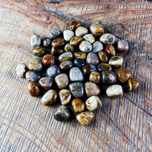 Tumbled Stones A Grade 100gms- (Petrified Coral)