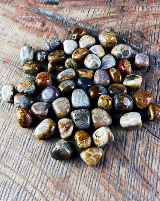 Tumbled Stones A Grade 100gms- (Petrified Coral)