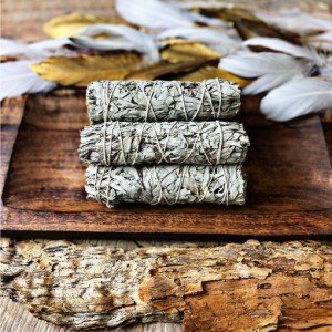 Medium White Sage Smudge (15-16cm)- Tool Rolled - 5 Pack