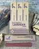 Ispalla Palo Santo & Lavender Incense (Calm)- Retail Display Box- 12 packs 