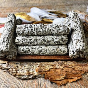 Large White Sage Smudge (22-23cm)- Tool Rolled - 15 Pack