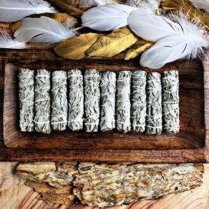 Mini White Sage Smudge Sticks (10-11cm)- THIN-10pk