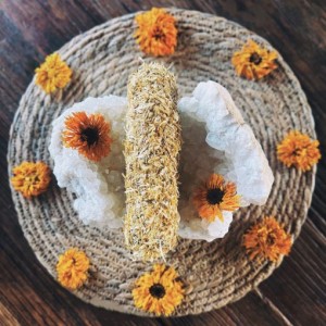 Calendula White Sage Smudge Stick (15cm-16cm) x 1