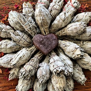 USA CERTIFIED ORGANIC White Sage Smudge Sticks