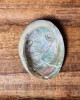 SECONDS- Mini Abalone Shell