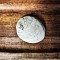SECONDS- Raw Natural Abalone Shell Small