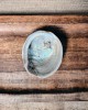 SECONDS- Raw Natural Abalone Shell Small