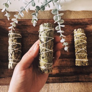 Eucalyptus Smudge Stick x 1