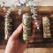 Eucalyptus Smudge Stick x 1