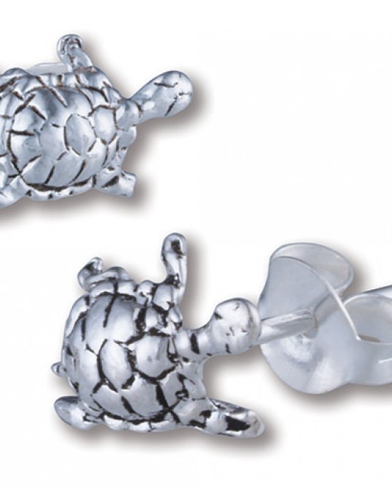 Turtle Studs - 5 Pairs